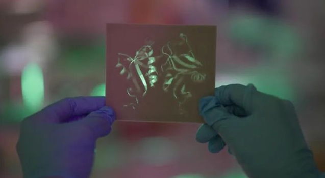 抗真菌蛋白DECTIN-1可用于自身免疫疾病和癌症治疗